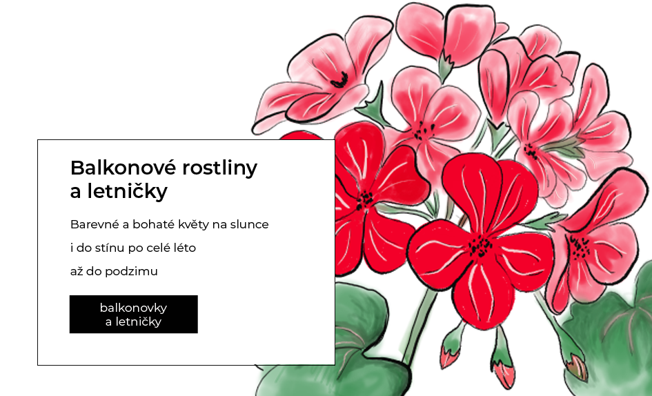 Balkonové rostliny a letničky