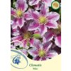66975 6 plamenek piilu clematis piilu kontejner o objemu 2 litry velikost 40 60 cm