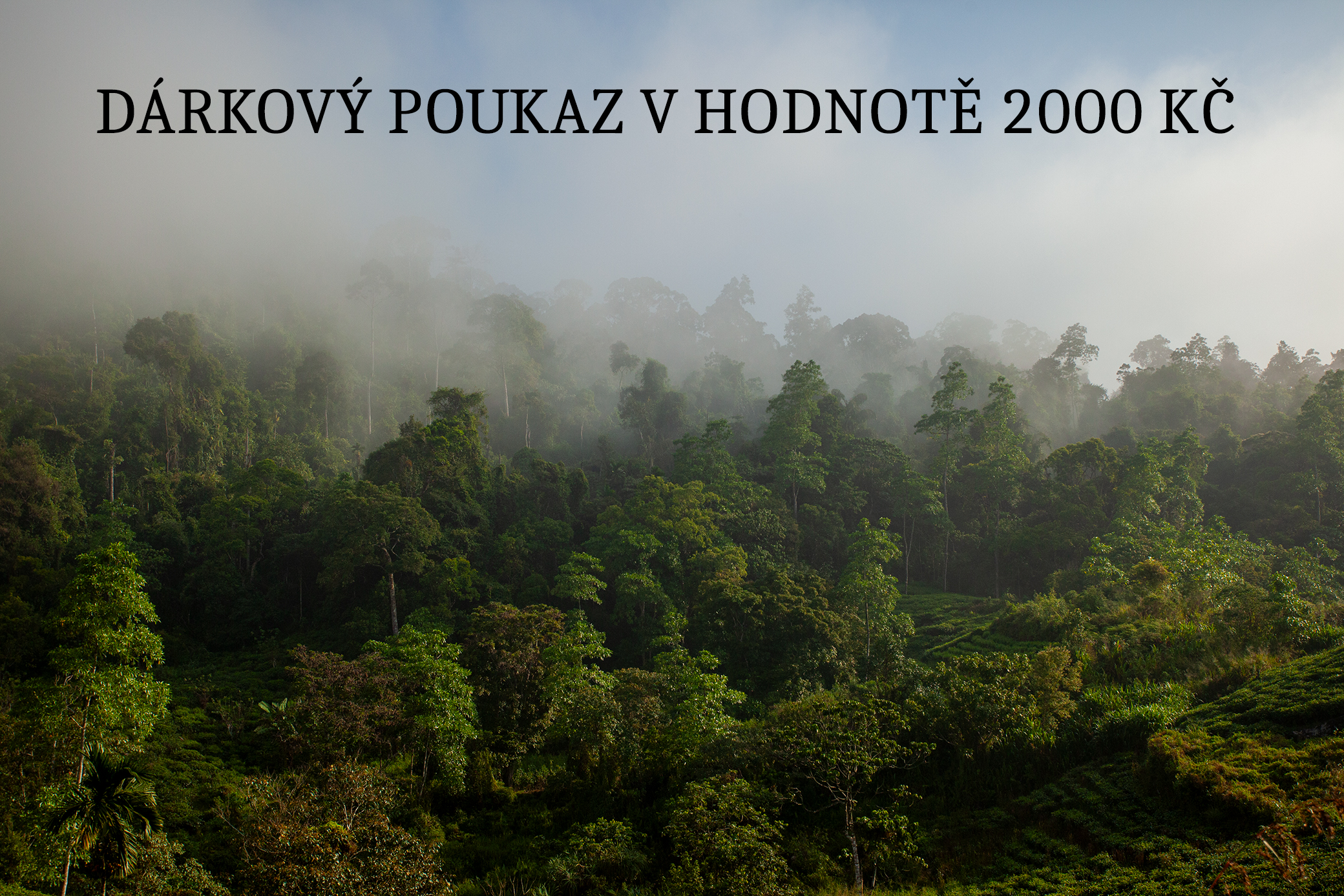 POUKAZ-2-jpg
