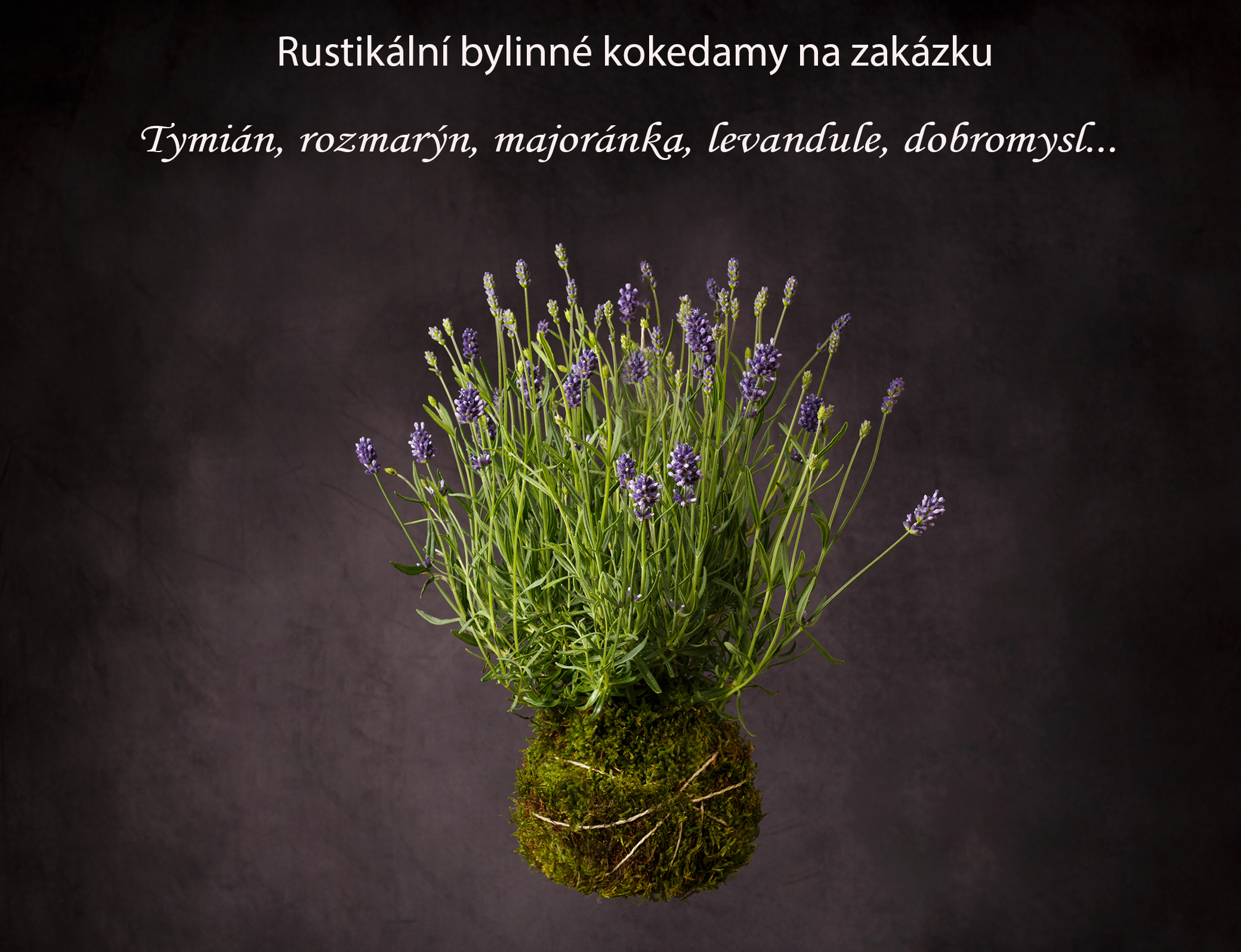 zakázka_1