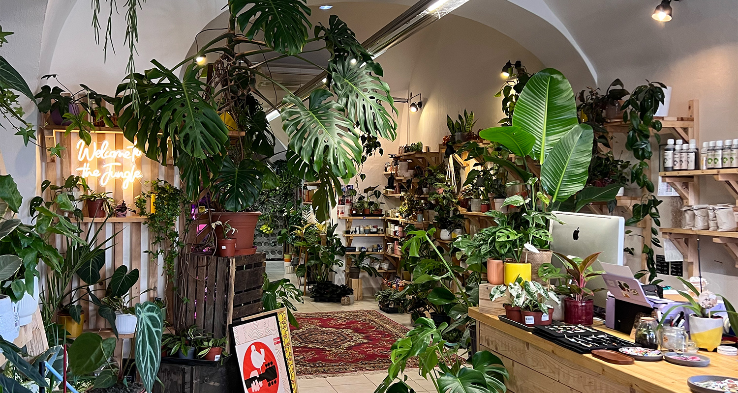 low Green Business: Keď rastliny dostanú čas rásť správne