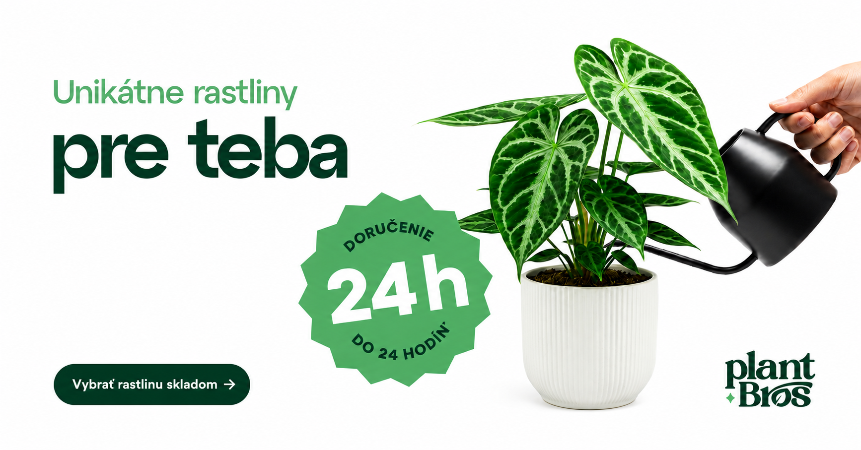 Izbové rastliny PlantBros – unikátne rastliny pre váš domov
