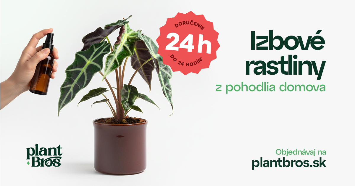 Zdravé a aklimatizované rastliny