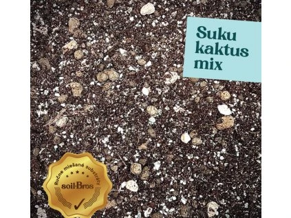 Suku kaktus mix