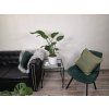 Strelitzia Nicolai 2pp 90cm