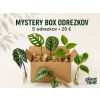 Mystery box odrezkov