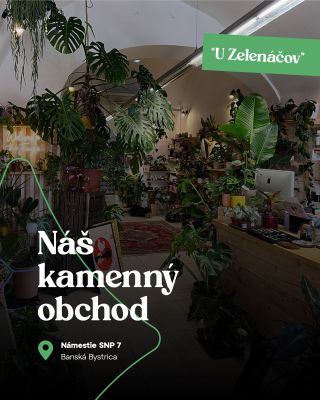 Náš kamenný obchod Plant Bros je zelená oáza priamo v srdci Banskej Bystrice 🌿 Nájdeš nás na Námestí SNP 7, kde na teba...