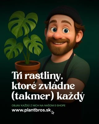 Chceš zelený interiér, ale nemáš čas? Tieto rastliny sú krásne, odolné a nenáročné. 🌿 Zamioculcas – odpustí zabudnuté...