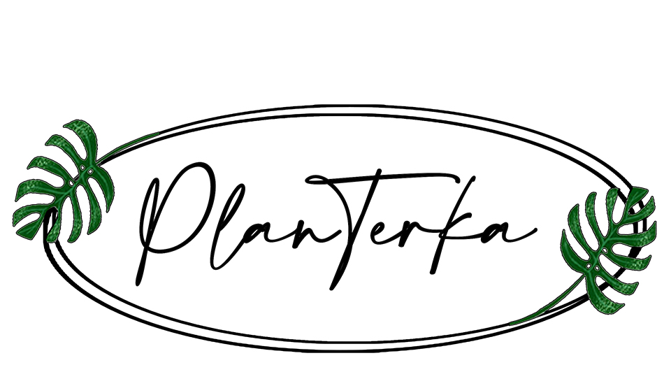 PlanTerka