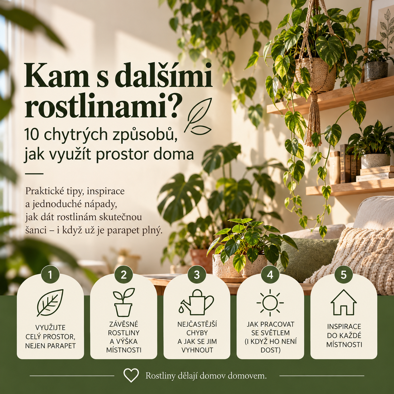 Kam s dalšími rostlinami?