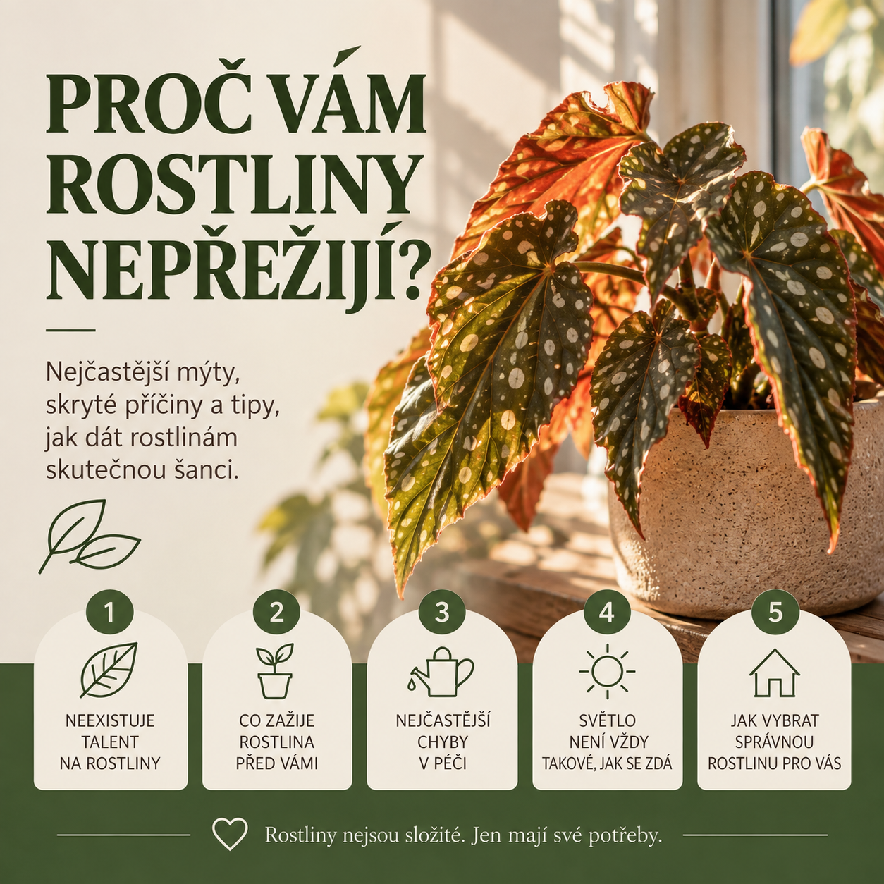 MNĚ VŠECHNY KYTKY UMŘOU - opravdu je chyba ve vás?