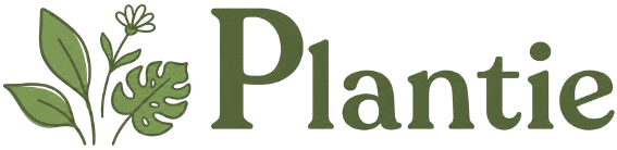 Plantie