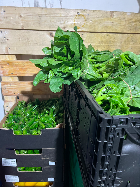 BIO zelenina aneb proč na původu zeleniny záleží.