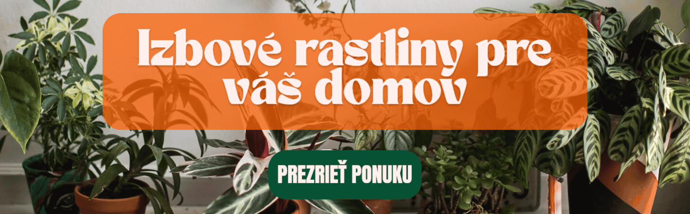Široký výber rastlín nájdete u nás!