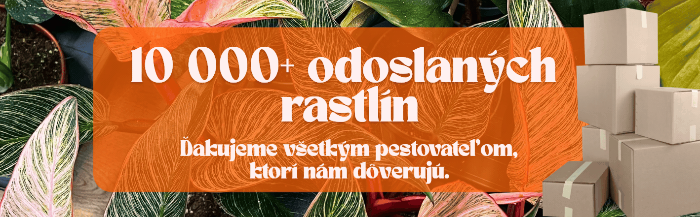 Počet rastlín