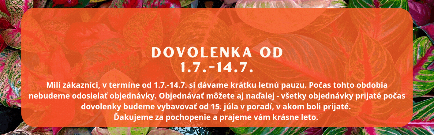Využi zľavu a dopraj si rastlinku