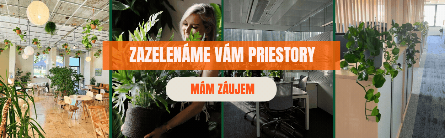 Zazelenáme vám kancelárie!