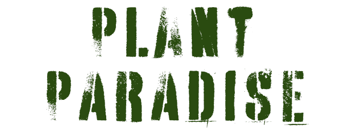 Plant Paradise