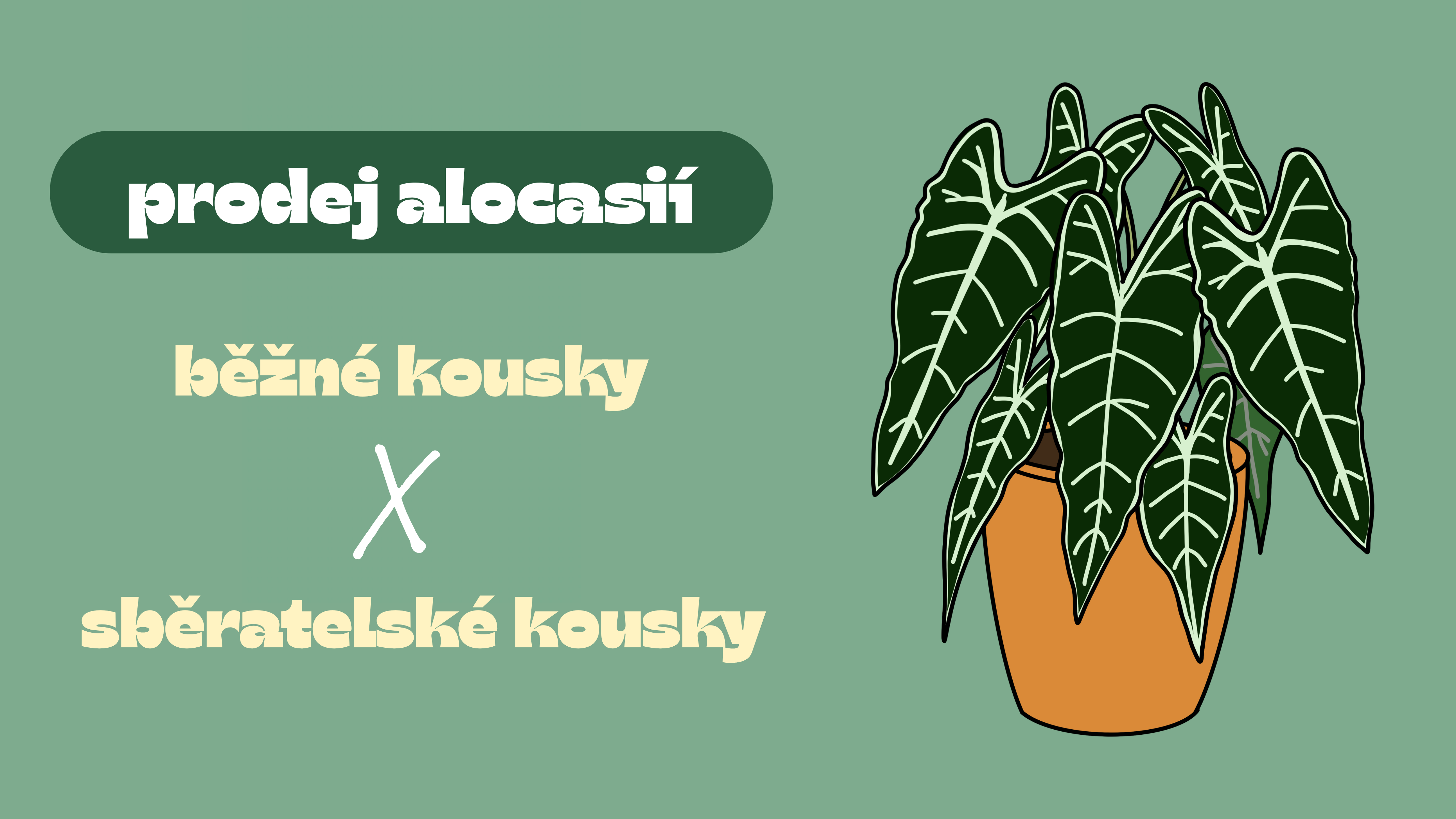 Rostliny