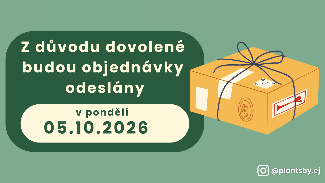 Dovolená