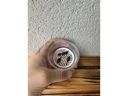 19E3DFA0 0D09 4CCF 87BE 1B914F7859AD 1 105 c