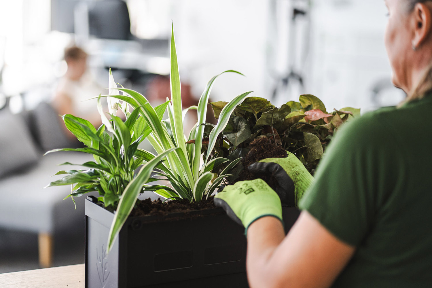 Jaký volíme substrát?