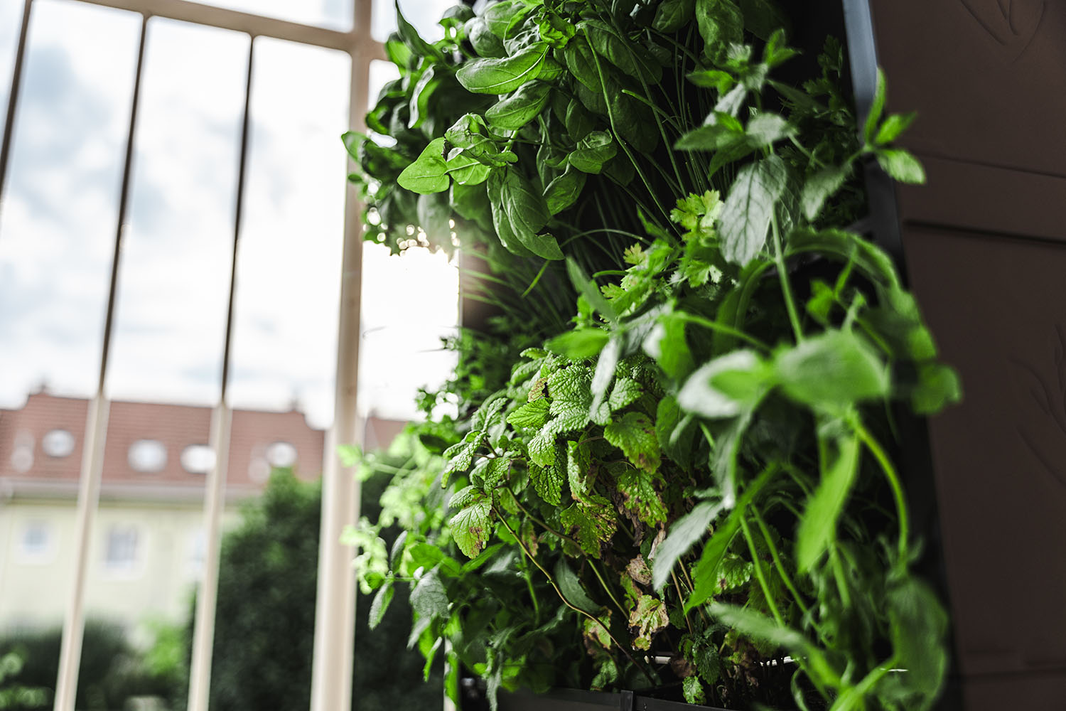 Rosteme zodpovědně