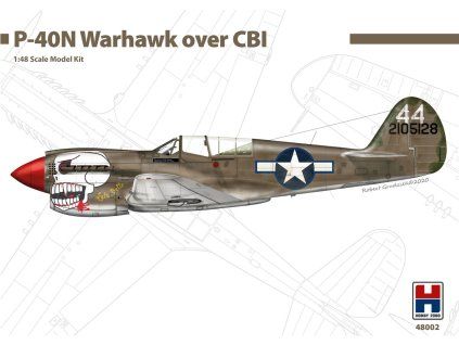 P-40N Warhawk Aces over CBI 40 3628