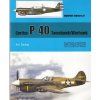 P-40