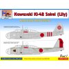 Kawasaki Ki-48 - Japan Home Island Defence part 1 40 9636