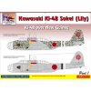 Kawasaki Ki-48 over New Guinea part 1 40 9641