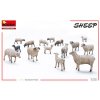 Sheep 41 6175