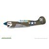 Obrázek (18)