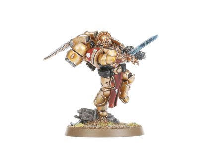BLOOD ANGELS: SANGUINARY GUARD