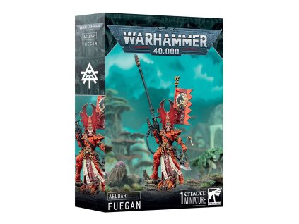 99120104103 AELFuegan03