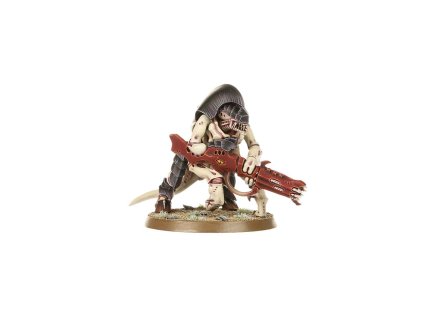 TYRANIDS: HIVE GUARD