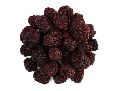 Ostružiny lyofilizované (Množství 1000 g)