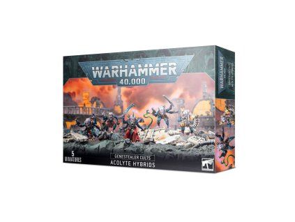 99120117019 GSCAcolyteHybridsStock