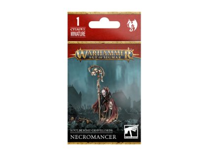 99120207206 SoulblightGravelordsNecromancer3