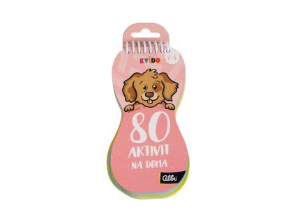 80 aktivit na doma - Kvído