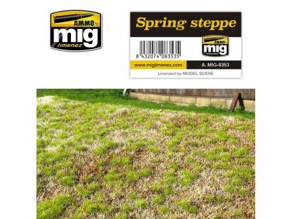 Spring Steppe