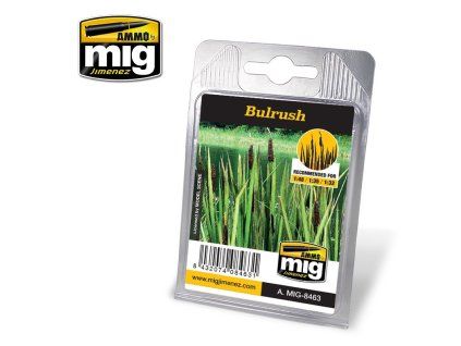 Bulrush