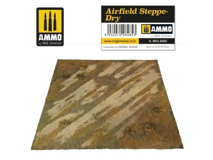 Airfield Steppe-Dry