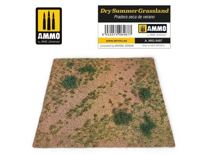 Dry Summer Grassland