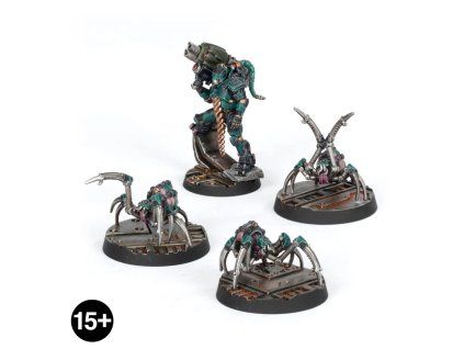 99860599059 VSChampionsCybachnidsLead