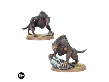 99861466013 MEWerewolvesOfAngmar01