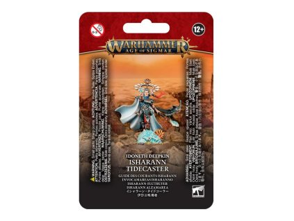 99070219009 IDIsharannTidecasterStock