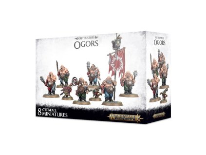 99120213019 OgorBulls10