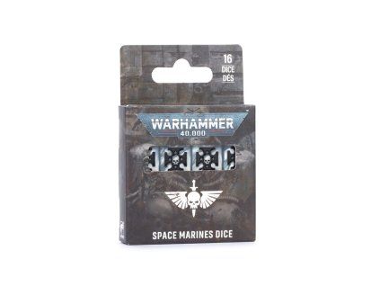 99220101041 SpaceMarinesDice2