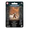 warhammer 40 000 t au empire kroot flesh shaper